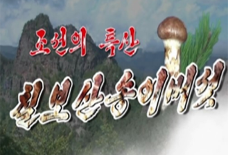 북한영화의 특성 이미지